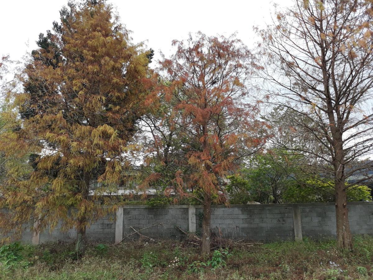 63inn庭園民宿 Pinghe 외부 사진